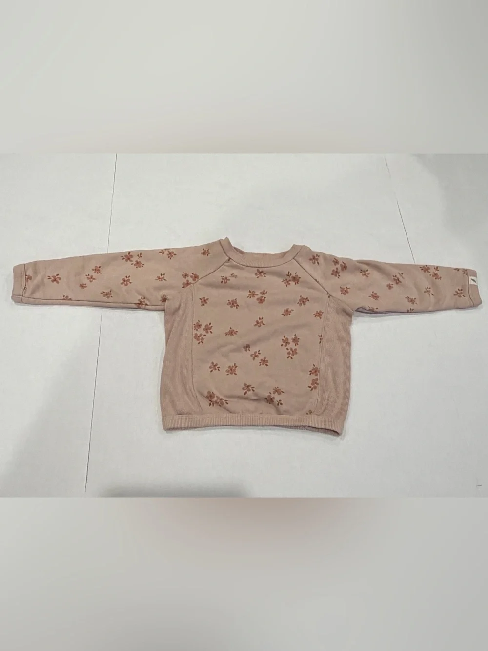 Toddler Floral Sweatpants Set in Blush Pink